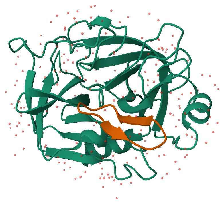 Ribbon render of a receptor protein in green with a bound peptide in orange